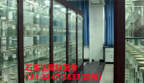 中專中藥專業(yè)能考哪些證書(shū)？