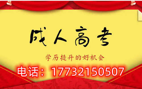干貨！備考必讀，成考不踩雷！