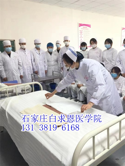 河北對(duì)口高考和對(duì)口單招有什么不同？